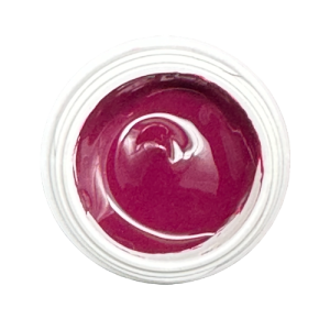 #454 Bordeaux Violett | Premium Farbgel